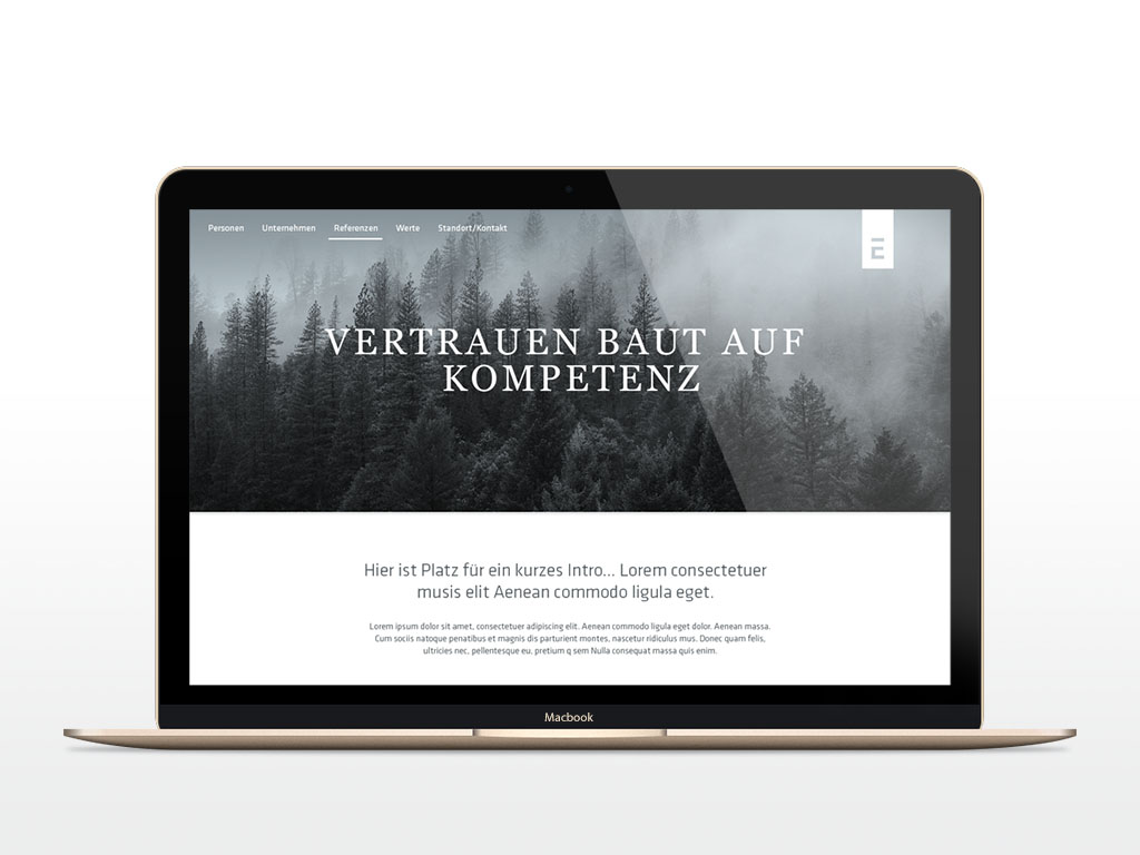Variante B Case Launch der Website für Ernst & Cie – Die Unternehmer AG