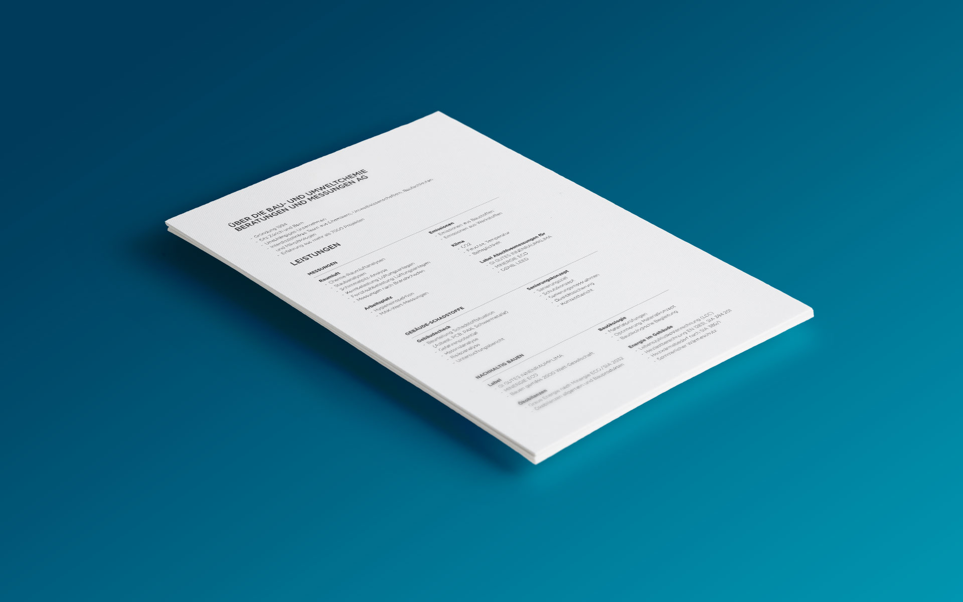 Variante B Case Relaunch bei der Bau- und Umwelthygiene AG