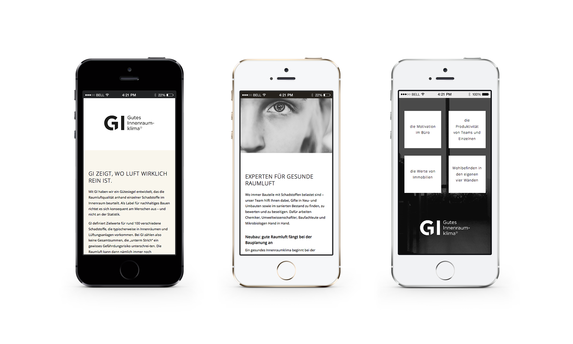 Variante B Case Eigener Webauftritt für GI-Label