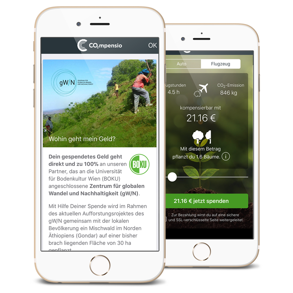 Variante B Case Konzeption und Umsetzung der weltweit ersten App zur CO2-Kompensation
