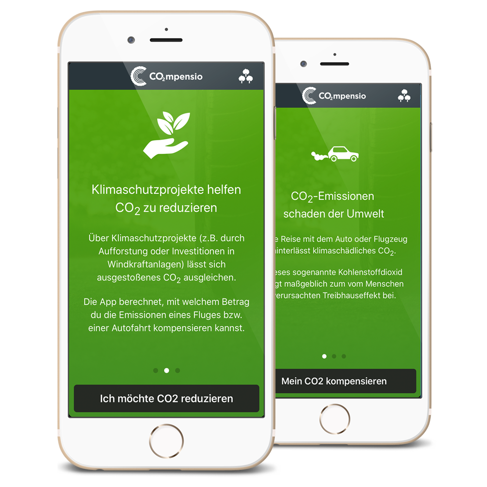 Variante B Case Konzeption und Umsetzung der weltweit ersten App zur CO2-Kompensation